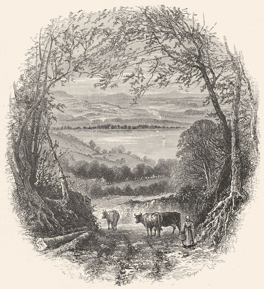 CUMBRIA. Windermere 1901 old antique vintage print picture